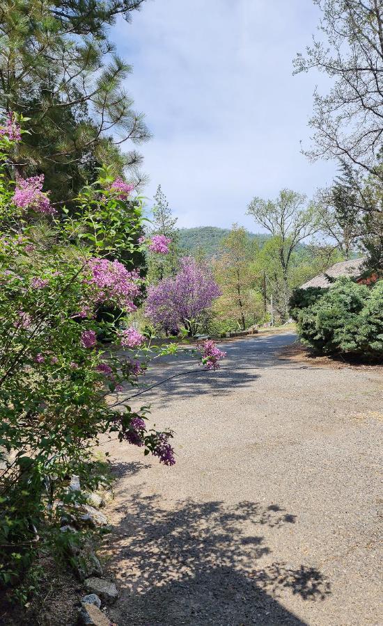 Villa Yosemite Mountain Retreat Oakhurst Exterior foto